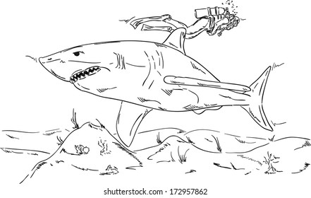 vector - El buceador de hombre con un tiburón se mezcla