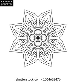 Vector mandala background