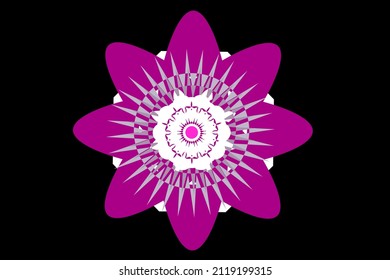 El vector de la flor de mandala tiene pétalos púrpuros y las inflorescencias medias son blancas y violetas aisladas sobre fondo negro.