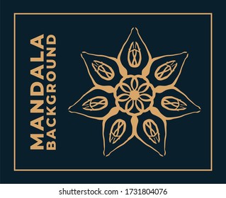 vector mandala pattern luxury ornament