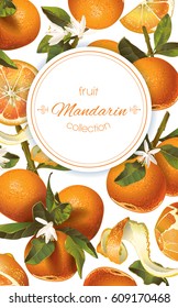 Vector mandarin vertical banner on white background. Design for sweets and pastries filled with citrus fruit, dessert menu, natural cosmetics, health care products. With place for text