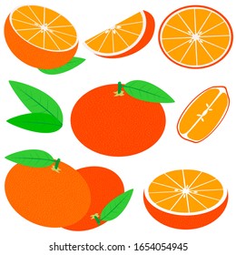 Vector mandarins set isolated on white background. Fresh and juicy whole mandarins and slices.