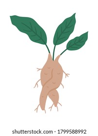 Vector mandrake root. Cute witchcraft element. Halloween potion ingredient icon. Autumn all saints eve illustration with witch plant. Samhain party design for kids. 
