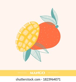 Vector mango doodle. Hand drawn illustration.