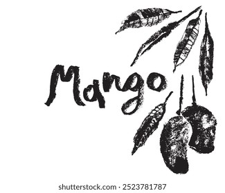 Emblema de mango de Vector. Dibujo a lápiz de Mango Brasileño. Símbolo de fruta tropical. Boceto negro de fruta exótica. Señal de mangos. Ilustración de frutas de mangos asiáticos. Plantilla de logotipo de mango Carabao dibujado a mano.