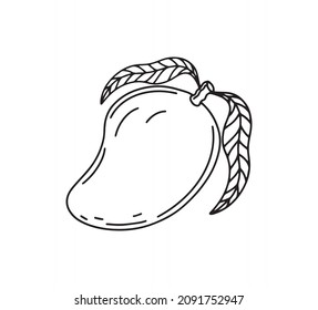 Vector mango hand drawn sketch. Hand drawn outline fruit mango on a branch. Isolated over white background. Mango Fruit logo.