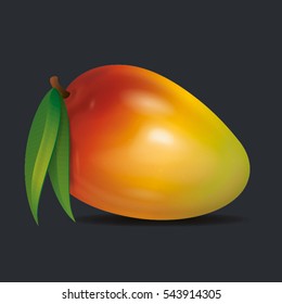 Vector mango icon isolated on grey background
