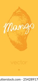 Vector mango isolated - hand-drawn mangoes drawing, tropical fruits illustration - exotic fruit label, badge, card design - fruit sketch art with natural art texture - mangos mango slice isolated