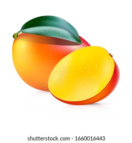 Vector mango isolated on white background. Realistic half mango vector.