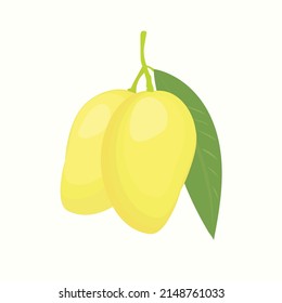 vector mango on white background color