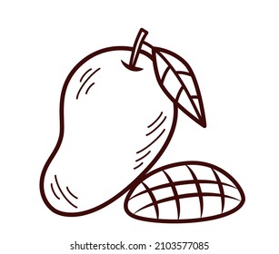 Vector mango in outline style, icon of mango fruit, illustration of whole and slice mango with leaf