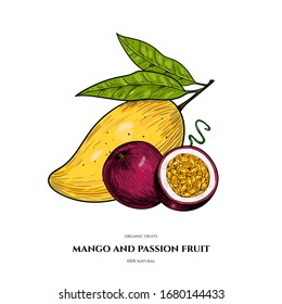 Vector mango and passion fruit hand drawn sketch. Food illustration. Vintage style