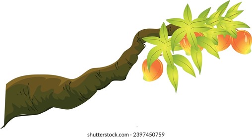 Rama de árbol de mango vectorial con mangos aislados ilustraciones vectoriales