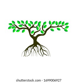 Vector mangrove forests as a symbol or logo environmental awareness in coastal forests