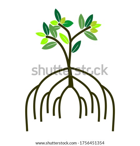 Vector mangrove forests as a symbol or logo environmental awareness in coastal forests