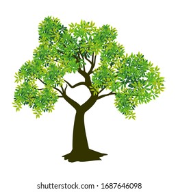 Vector of mangrove tree with a white background