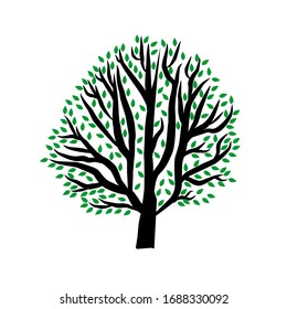 Vector de árbol de manglar con fondo blanco