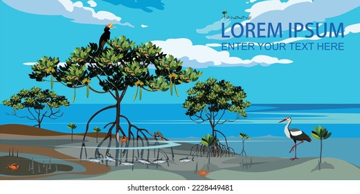 Vector: Mangrove trees and marine animal habitats.