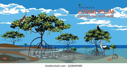 Vector: Mangrove trees and marine animal habitats.