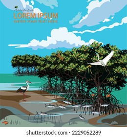 Vector: Mangrove trees and marine animal habitats.