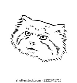 vector manuel salvaje gatos ilustración gráfica manual el gato forestal