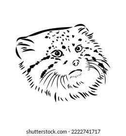 vector manuel salvaje gatos ilustración gráfica manual el gato forestal