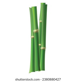 Vector many bamboo stalks illustration on white background.