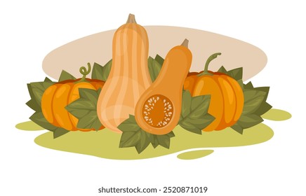 Vector many birth pumpkins set surrounded by big green leaves. Vegetable patch. Thanksgiving art. Autumn harvest. Bright fall illustration. Cartoon nature image for banner design, farm fair ads layout