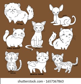 a vector of many cat breeds in black and white colors