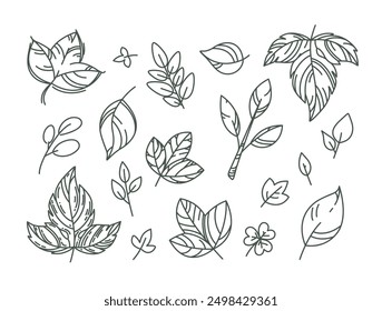 Vector many hand drawn contour leaves icons. Editable outline. Pencil paint plant element. Cartoon nature sketch. Line art for organic cosmetic packaging design, kids textile, fall event advertising 