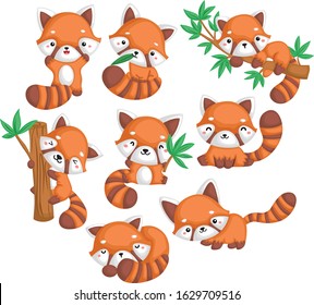 a vector of many red pandas in many poses