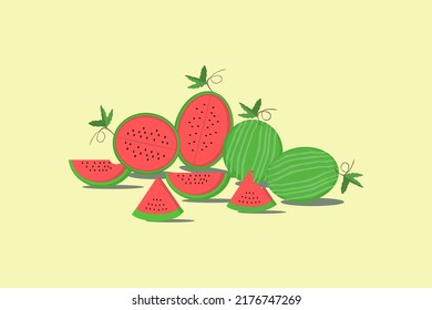 Vector of many types of watermelon  on yellow background.