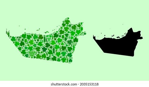Vector Map of Abu Dhabi Emirate. Composition of green grape leaves, wine bottles. Map of Abu Dhabi Emirate collage designed from bottles, grapes, green leaves.