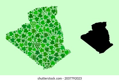 Vector Map of Algeria. Mosaic of green grape leaves, wine bottles. Map of Algeria mosaic designed with bottles, grapes, green leaves. Abstract mosaic designed for alcohol shops proclamations.