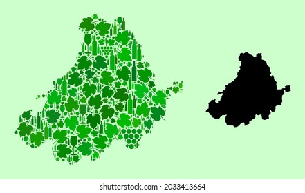 Vector Map of Avila Province. Composition of green grapes, wine bottles. Map of Avila Province collage designed with bottles, grapes, green leaves.
