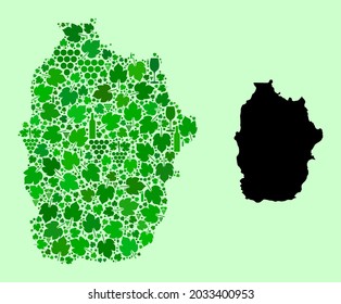 Vector Map of Azores - Flores Island. Collage of green grape leaves, wine bottles. Map of Azores - Flores Island collage composed with bottles, grapes, green leaves.