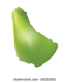 Vector map of Barbados. Isolated illustration on white background