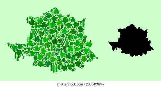 Vector Map of Caceres Province. Collage of green grape leaves, wine bottles. Map of Caceres Province collage created with bottles, grapes, green leaves.