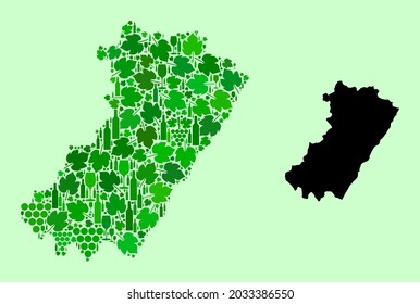 Vector Map of Castellon Province. Mosaic of green grapes, wine bottles. Map of Castellon Province mosaic composed with bottles, grapes, green leaves.