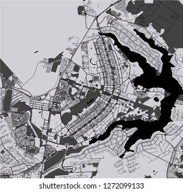 vector map of the city of Brasilia, capital of Brazil