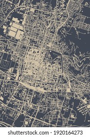 vector map of the city of Brescia, Lombardy, Italy