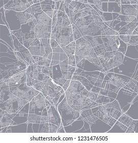 vector map of the city of Madrid, Spain