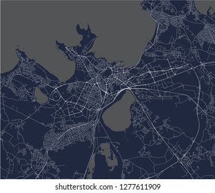 vector map of the city of Tallinn, Estonia