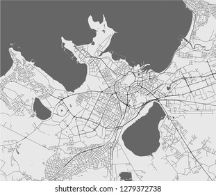 vector map of the city of Tallinn, Estonia