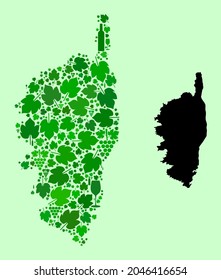 Vector Map of Corsica. Mosaic of green grape leaves, wine bottles. Map of Corsica mosaic formed with bottles, grapes, green leaves. Abstract collage designed for wine production agitprop.
