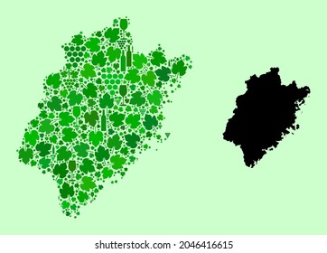 Mapa vectorial de la provincia de Fujian. Collage de uvas verdes, botellas de vino. Mapa del collage de la provincia de Fujian formado con botellas, uvas, hojas verdes. El mosaico abstracto es útil para la producción de vino.