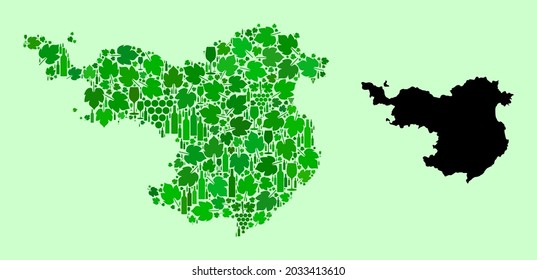 Vector Map of Gerona Province. Collage of green grape leaves, wine bottles. Map of Gerona Province collage composed with bottles, berries, green leaves.