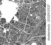 Vector map of Hyderabad city in two colours....