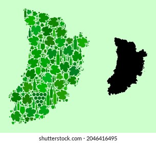 Vector Map of Lleida Province. Mosaic of green grapes, wine bottles. Map of Lleida Province mosaic composed from bottles, grapes, green leaves.