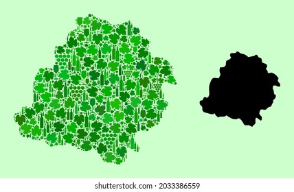 Vector Map of Lodz Province. Collage of green grape leaves, wine bottles. Map of Lodz Province collage designed from bottles, grapes, green leaves.